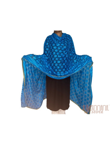 Phulkari Chiffon Dupatta With Multicolour Embroidery Copper Sulphate