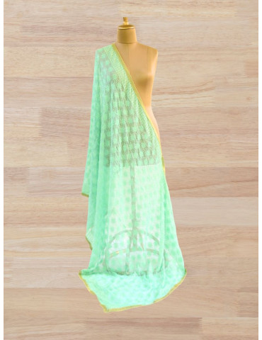 Teal Phulkari Embroidery Chiffon Dupatta