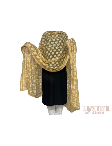 Phulkari Chiffon Dupatta With Multicolour Embroidery Golden Cream