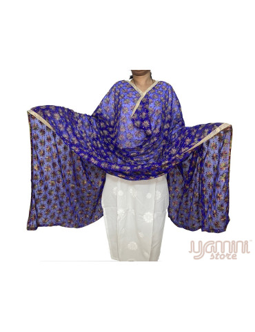 Blue Embrodery Chiffon Phulkari Dupatta with Sequence work