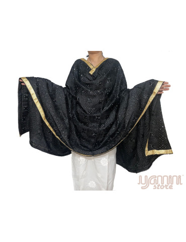 Heavy Embroidery Phulkari Chinon Dupatta with Gota Lace