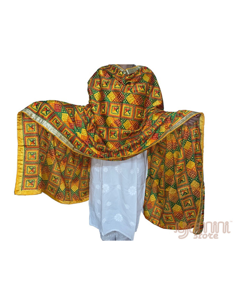 Heavy Multicolored Embrodoried Phulkari Chinon Dupatta