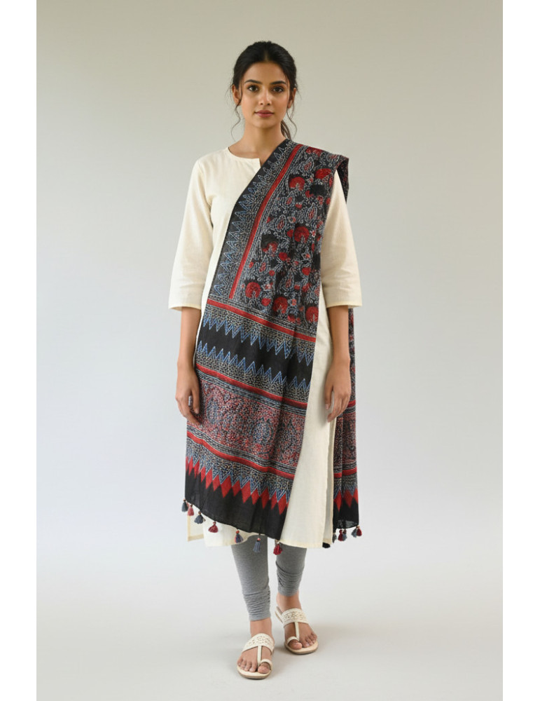 Yamini Black With Light Blue Border Red Flower Shade Ajrakh Handcrafted Cotton Dupatta