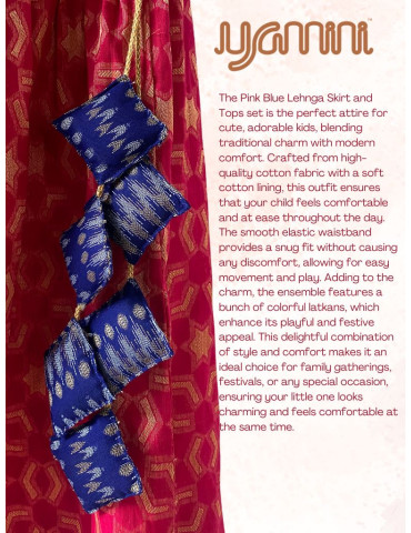 Pink Blue Girl Lehenga Choli (Set of 2)