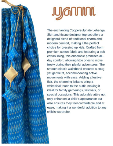 Copper Sulphate Girl Lehenga Choli (Set of 2)