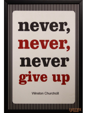 Never Never Never Give Up