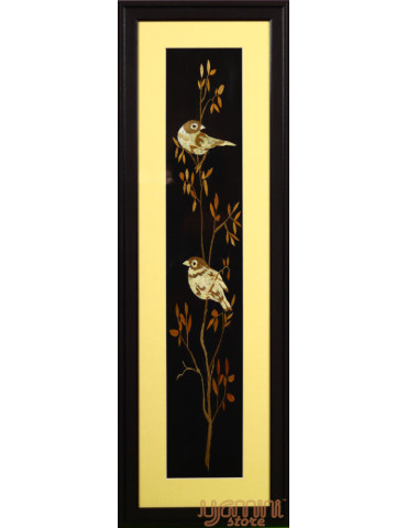 Two House Sparrow Sitting On a Branch